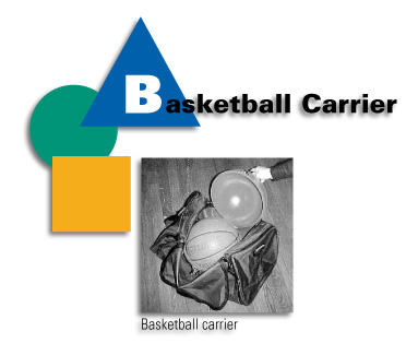 Basketball Carrier